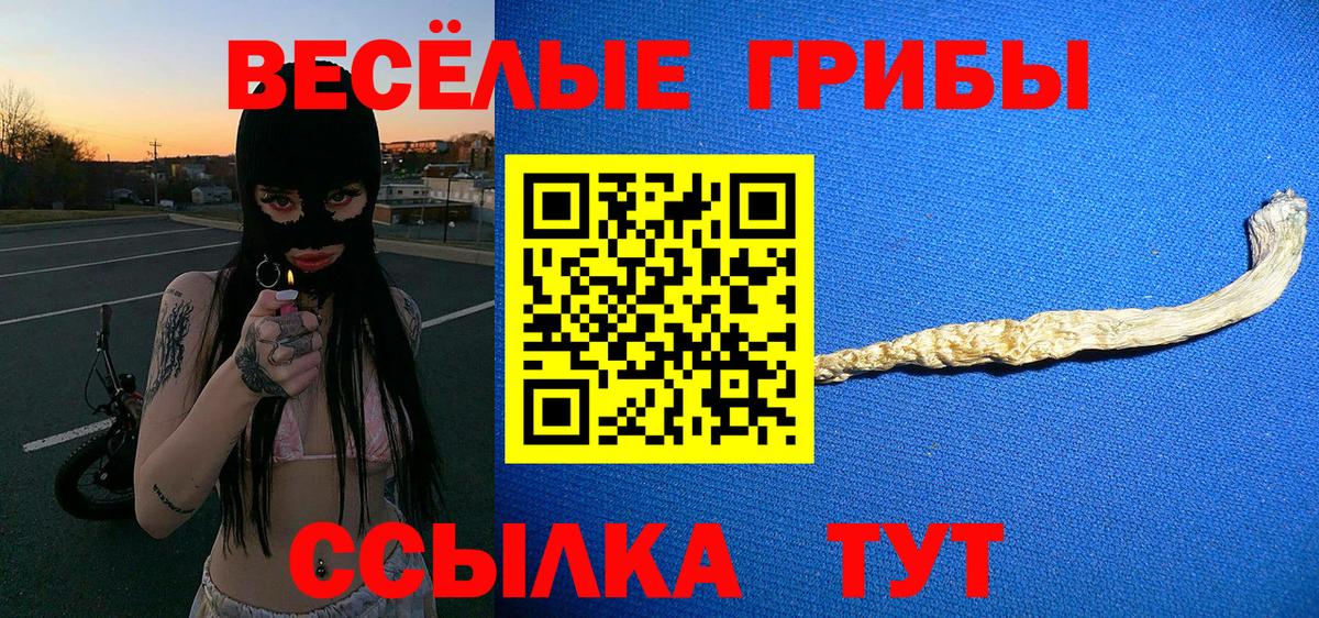 Псилоцибиновые грибы Magic Shrooms  Вход с VPN  купить наркоту  Одинцово 